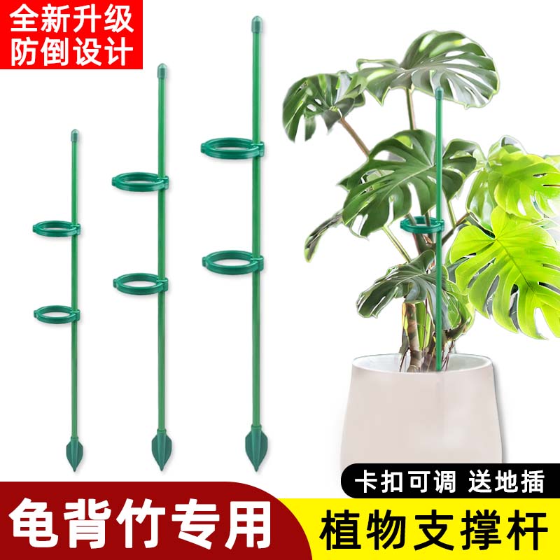 防倒伏植物支撑杆花固定支架龟背竹绿萝固定神器花杆爬藤花卉支撑