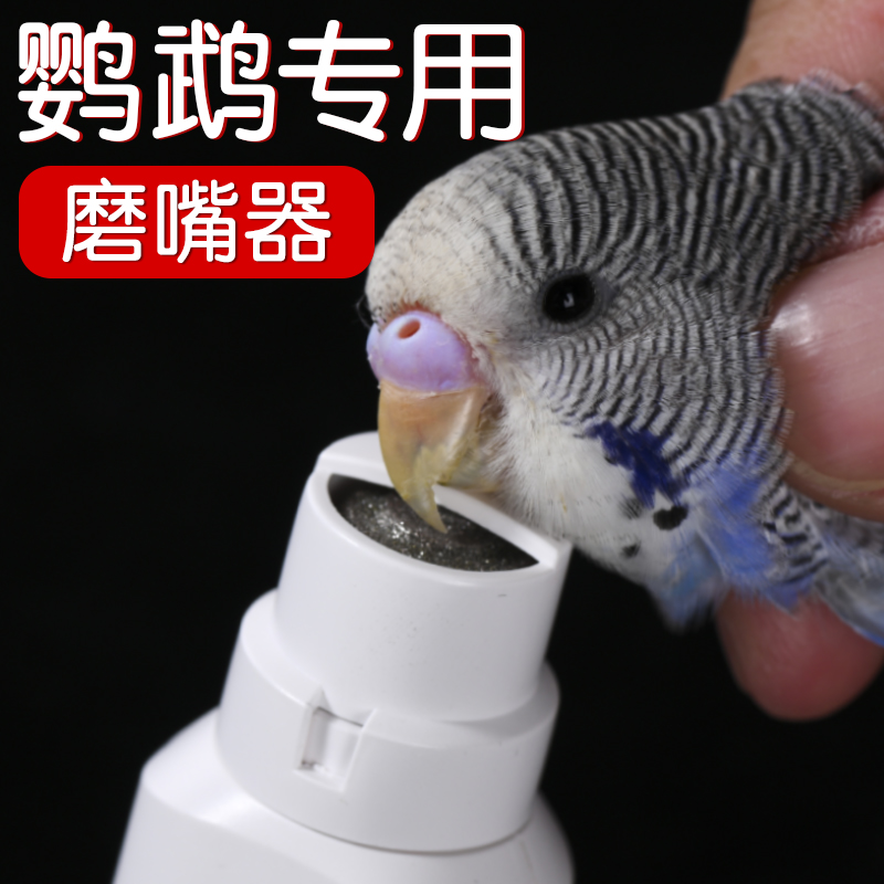 鹦鹉磨嘴器专用指甲剪打磨器牡丹虎皮电动玩具用品宠物磨指甲神器