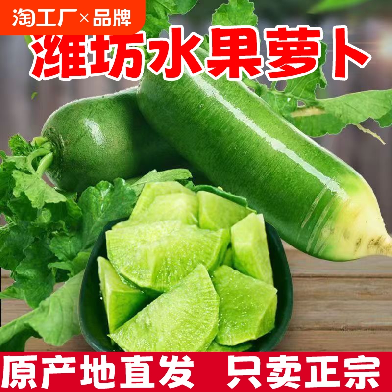 新鲜青萝卜沙窝萝卜大绿甜脆水果萝卜生吃当季蔬菜山东潍坊罗卜