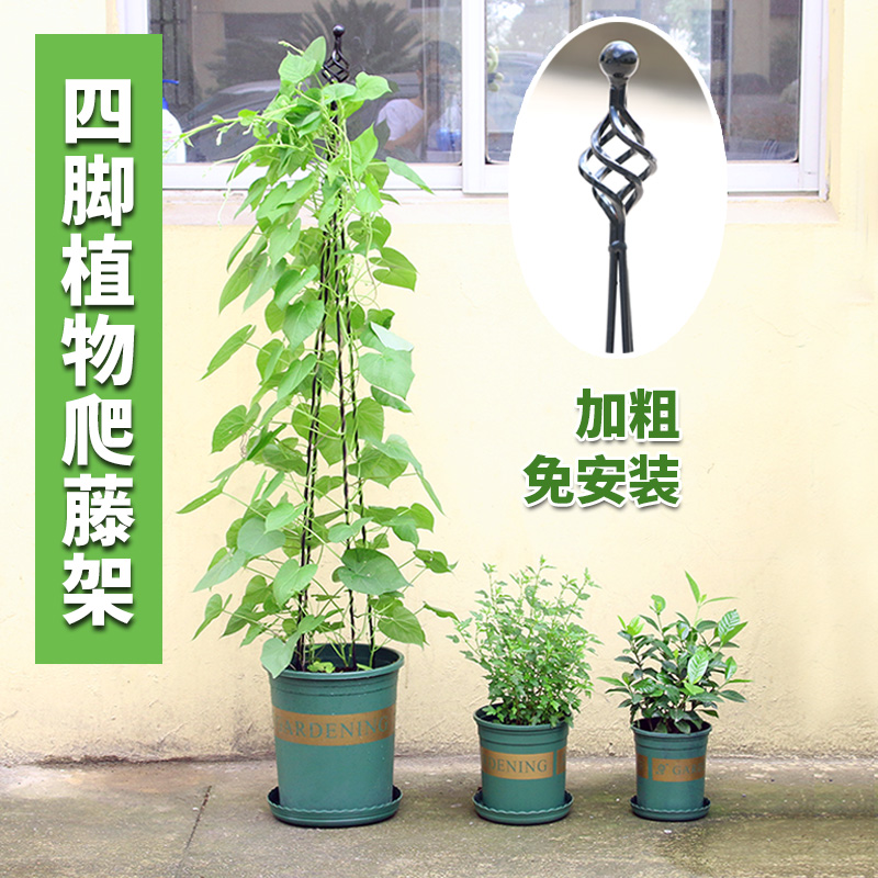 阳台铁艺爬藤花架盆栽植物加粗铸铁攀爬支柱月季铁线莲造景花支架