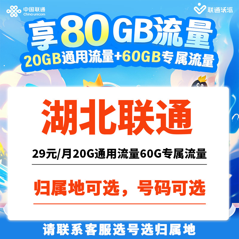 湖北武汉十堰襄阳孝感黄石荆州联通流量卡5G上网卡手机电话卡王卡