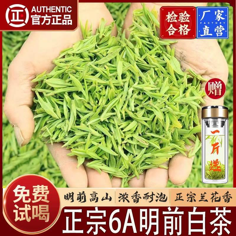 【明前嫩芽】正宗高山白茶2024新茶5000g毛尖绿茶浓香型官方正品