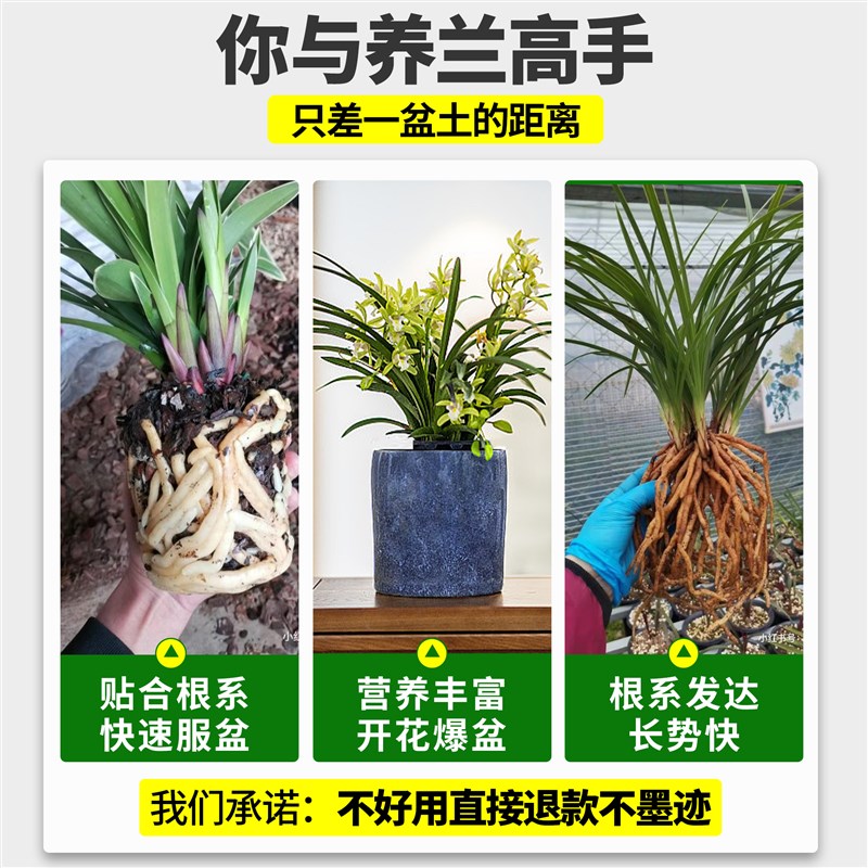 兰花专用土植料石斛蝴p蝶兰君子兰专用松树皮块种植料营养花土船