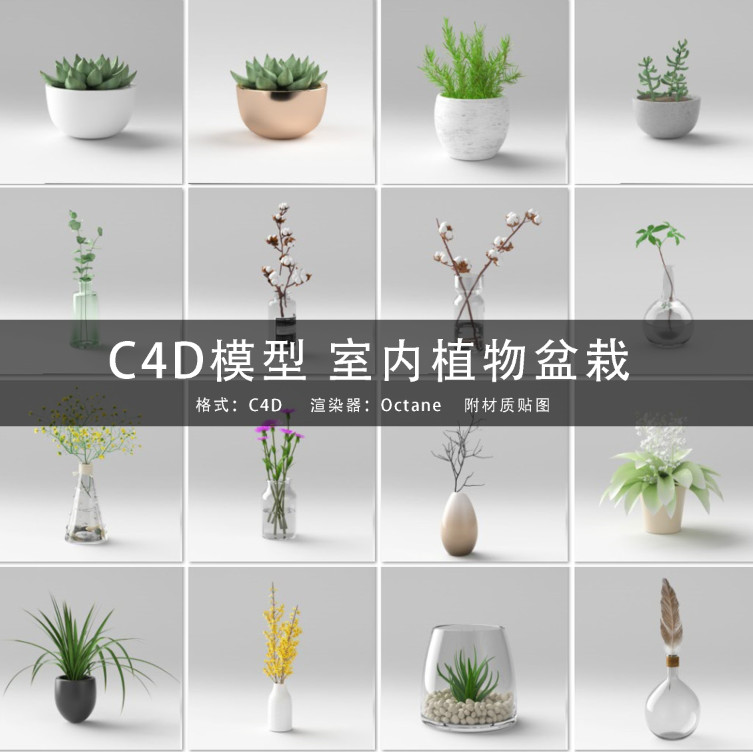 C4D模型 室内植物盆栽多肉绿植模型 oc渲染附材质贴图GC230