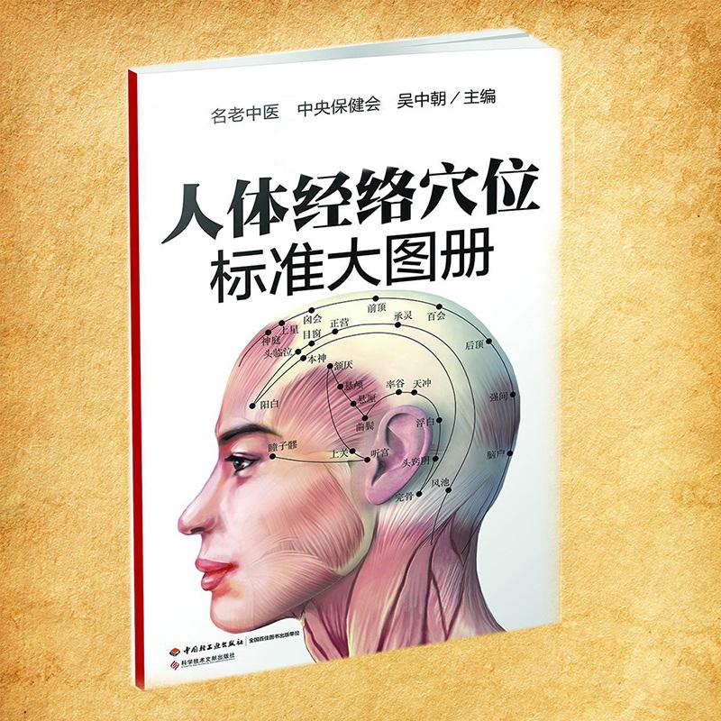 正版 人体经络穴位标准大图册超清晰人体经络穴位图解书人体穴位图解大全中医按摩经络穴位书籍经络穴位按摩大全养生书正版