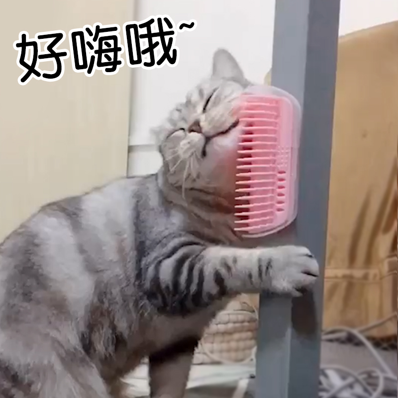 猫咪蹭毛器抓痒去浮毛蹭脸止痒猫抓板墙角按摩梳挠痒猫咪用品玩具