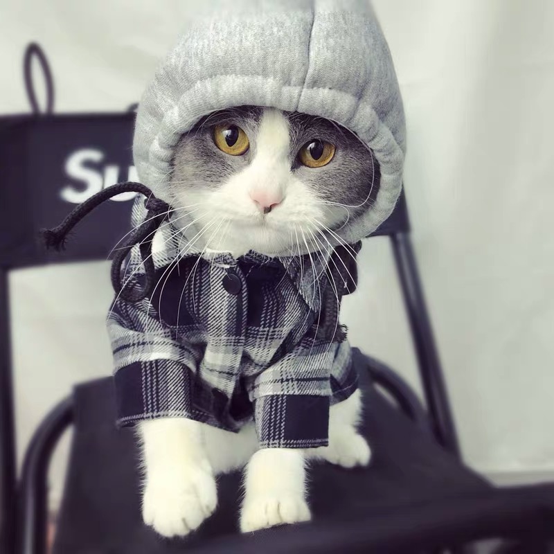 宠物猫咪狗狗衣服 灰格子衬衫 防掉毛 空调服中小型大型犬 春夏装