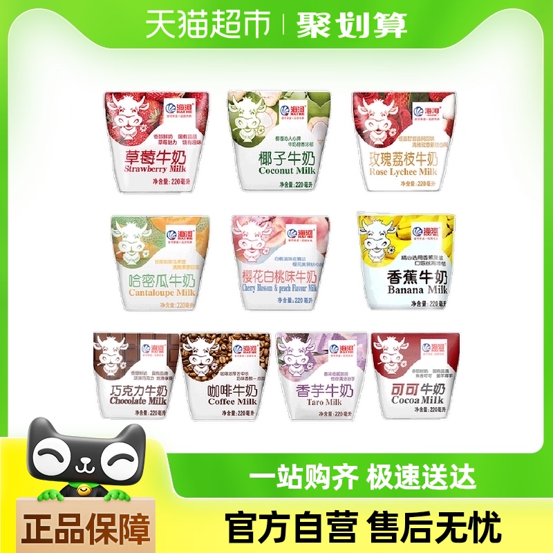 海河乳制品风味牛奶10包经典牛角包混合装整箱