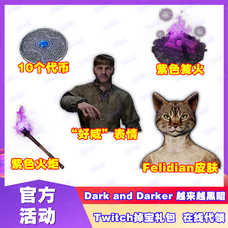 越来越黑暗Dark and Darker至暗时刻twitch掉宝皮肤紫色火把篝火