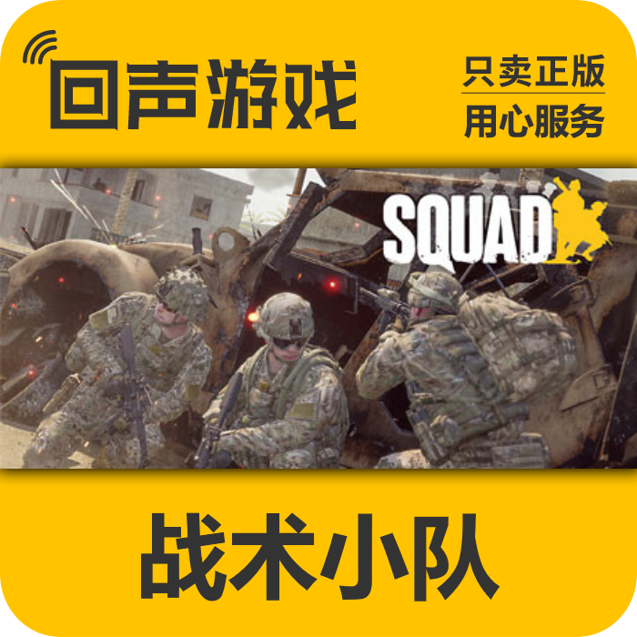 Steam 正版 国区 战术小队 激活码cdkey 激活入库 Squad