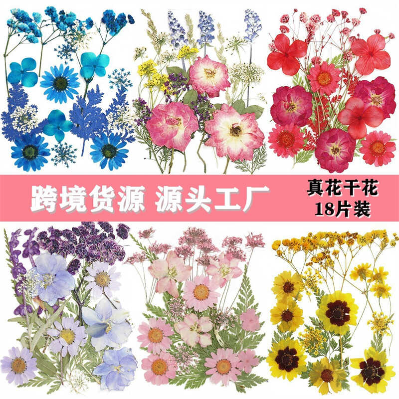 diy混合压花干花叶香薰蜡烛植物标本制作亲子手工押花滴胶材料包