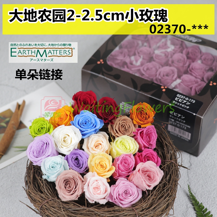 等花来大地农园02370diy材料花头2-3cm单朵进口永生花小玫瑰