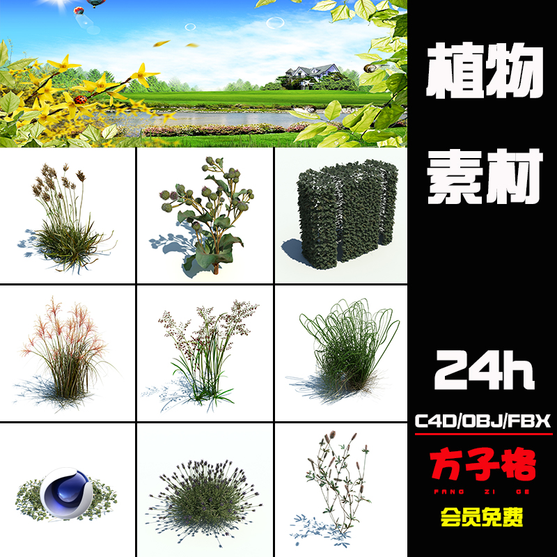 方子C4D模型园林野外植物野草地草丛野花藤树OBJ立体 3d素材 Z002