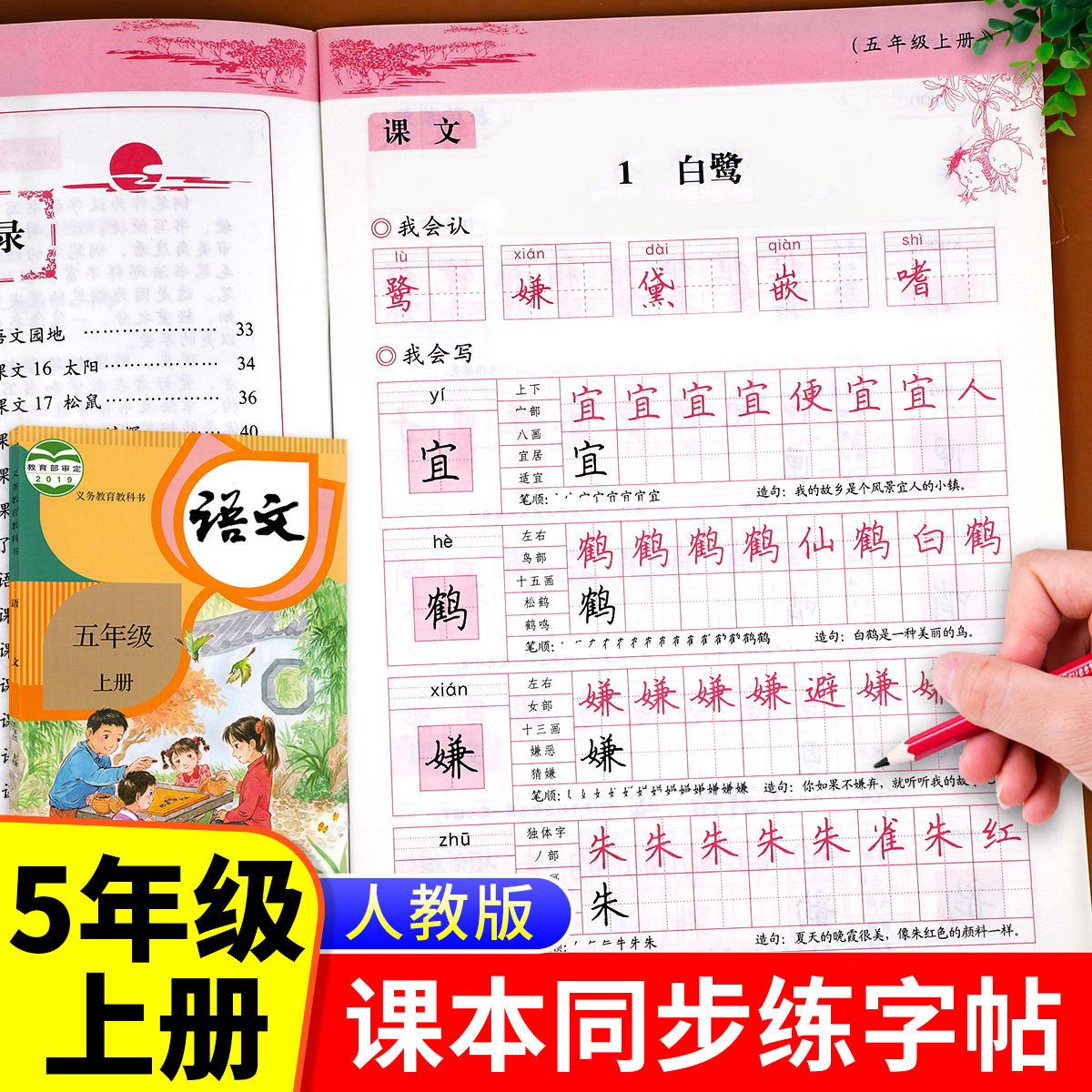 同步课本五年级上册写字课课练人教版 小学生五上描红字帖偏旁部首练字帖部编版5年级上学期生字练习临摹写字本同步课文组词RJ