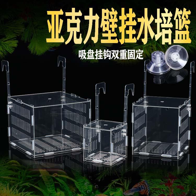 鱼缸水培植物固定架壁挂水培器皿定植篮亚克力花盆定植蓝加深水草