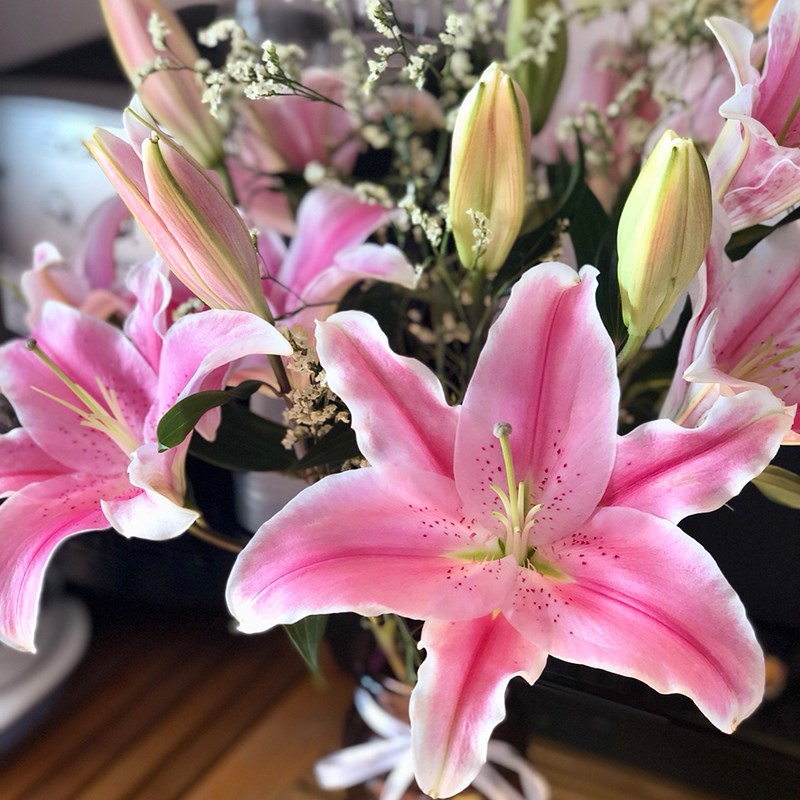 香水百合花鲜花云南昆明直批基花束地直发水养速递同城教师节家用