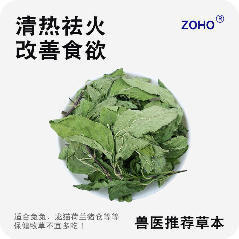 24年烘干薄荷叶新草小宠保健草龙猫荷兰猪兔子解暑降温夏季常备草