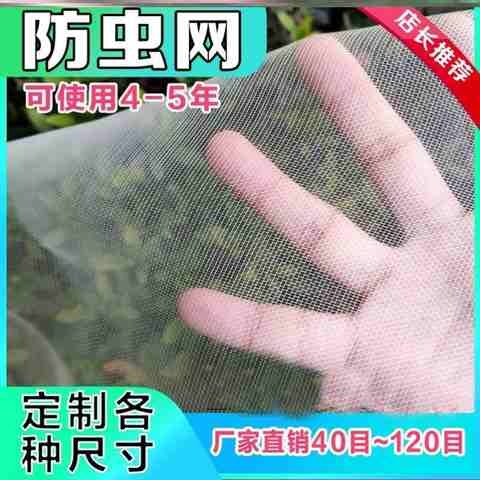 猪厂用防蚊蝇网农业纱窗帘定做防蚊子蚊虫柿子简易春夏窗纱网家用