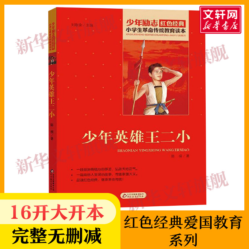 少年英雄王二小 小学生红色经典书籍革命传统教育读本 三四五六年级必读课外书 寒暑假学校推荐书目儿童读物畅销书革命英雄故事书