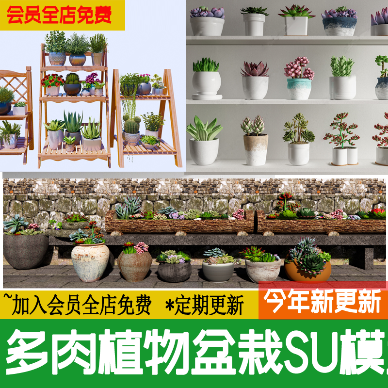 多肉植物盆栽书桌摆件室内现代阳台庭院桌面绿植草图大师SU模型