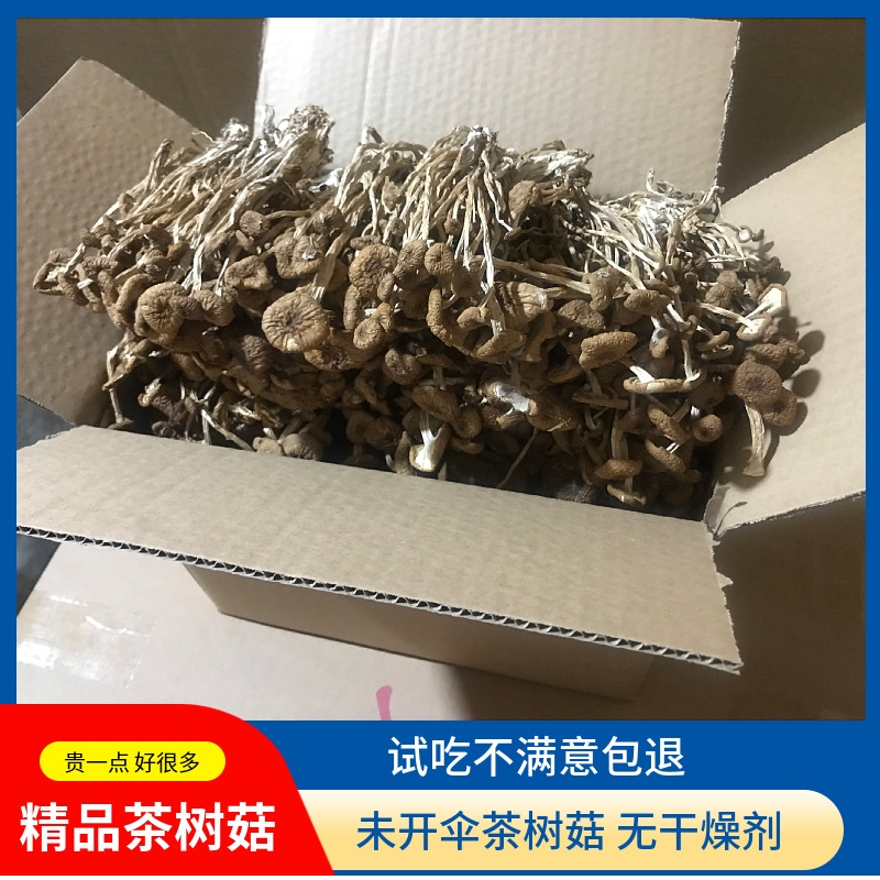 源头茶树菇干货冰菇不开伞500g古田特产散装茶薪菇包邮商用松茸