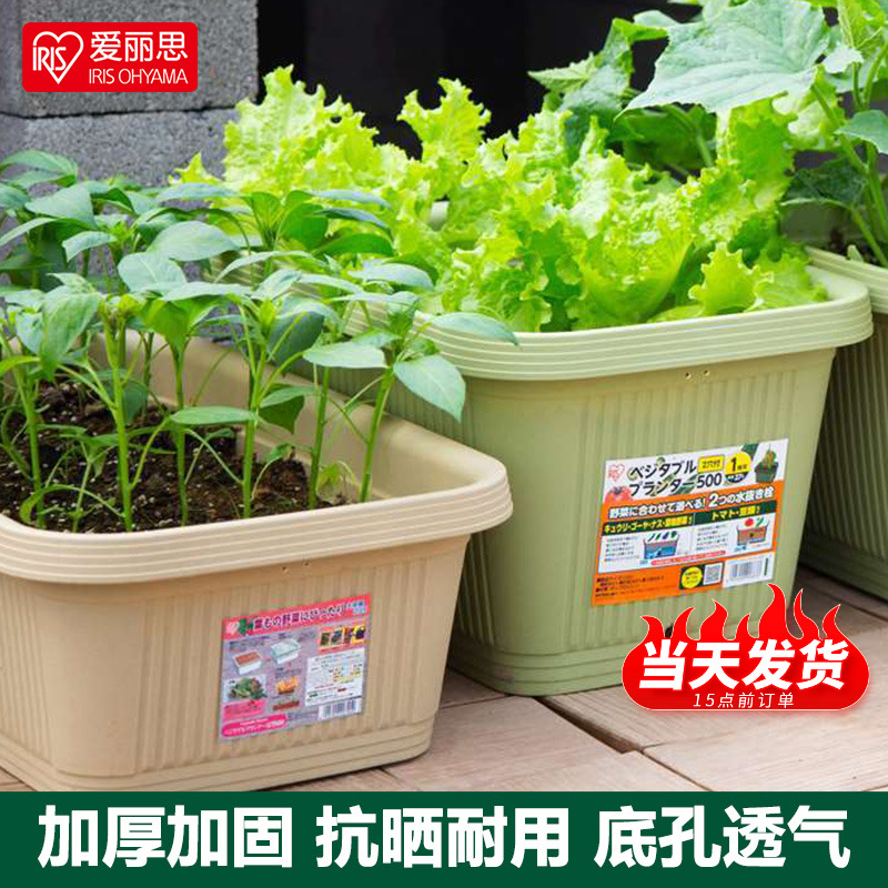 爱丽思长方形花盆大号塑料阳台种菜盆蔬菜种菜专用箱种植箱爱丽丝