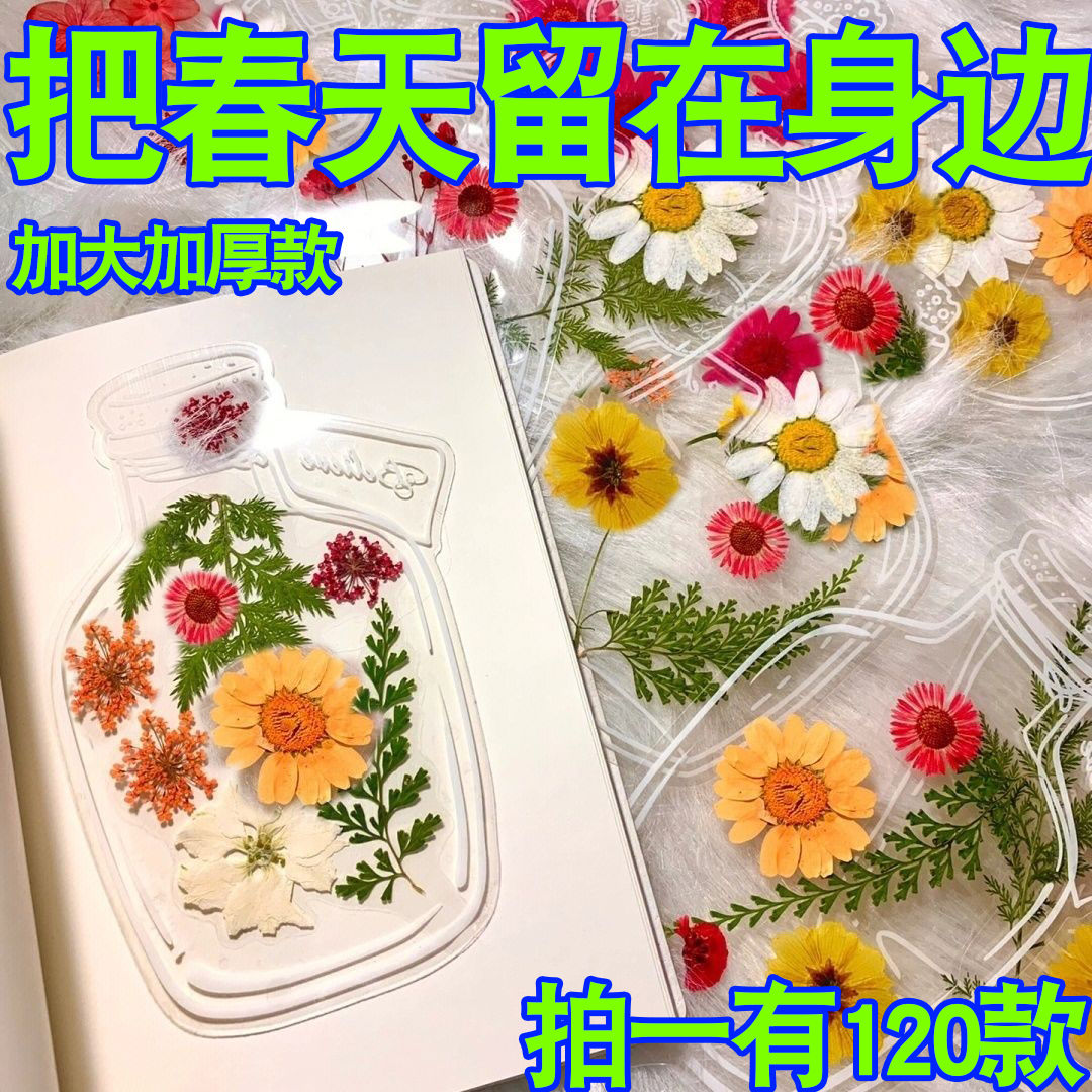 diy书签透明贴瓶子干花书签小学生创意手工自制树叶鲜花植物书签