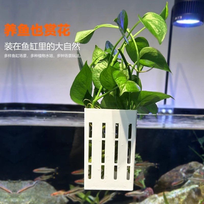 真动中】加大号鱼缸水培定植篮壁挂式水L草植物固定支架造景1