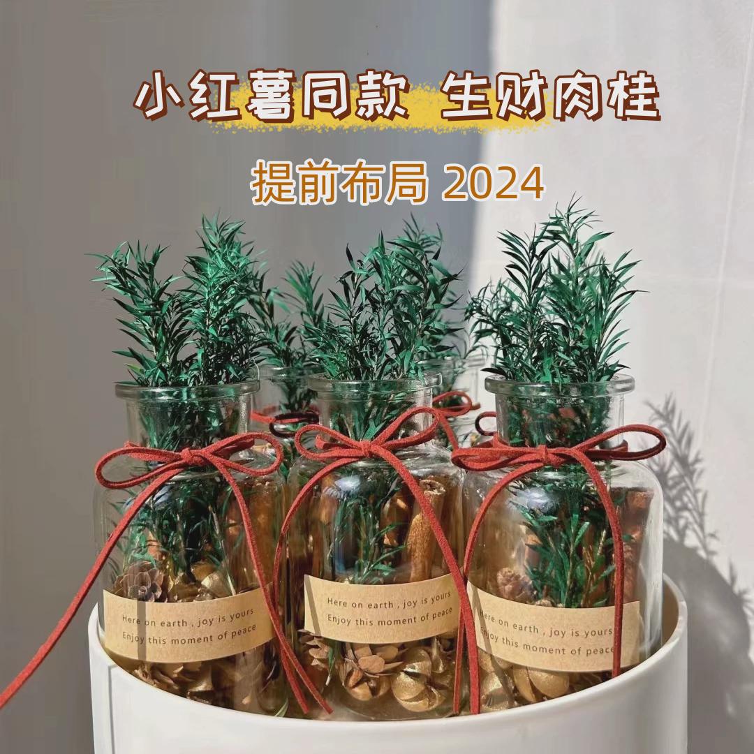 森系肉桂生财瓶窄口聚财门玻璃床头香薰ins摆件房间装饰新年礼物