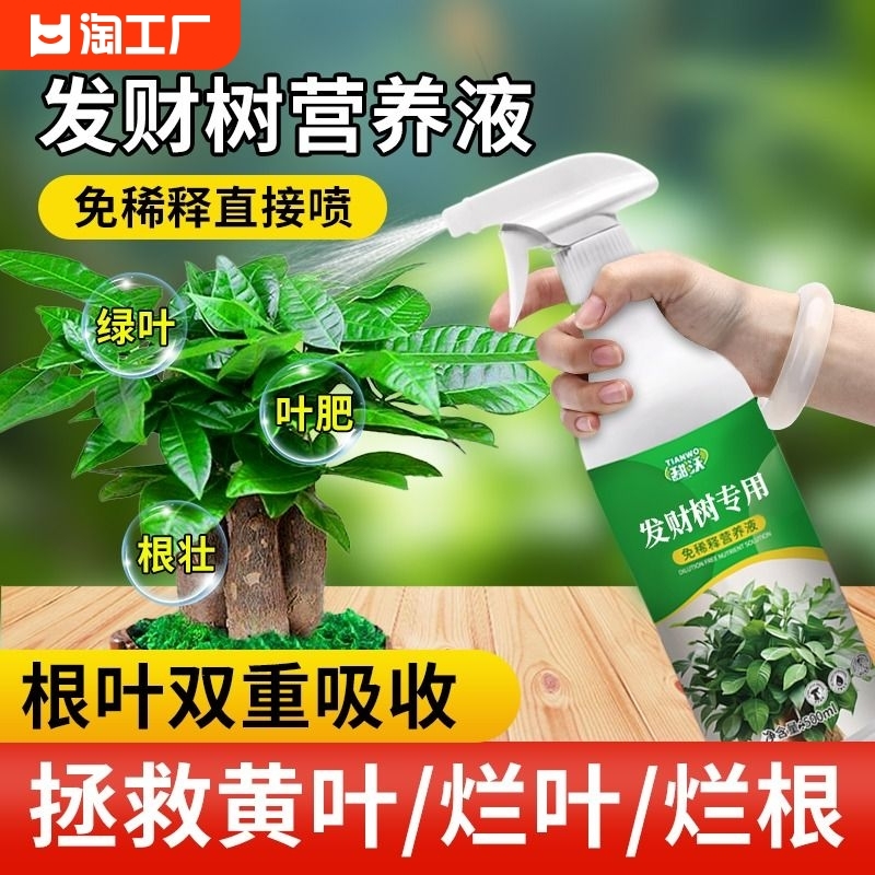 免稀释发财树专用营养液花肥料盆栽植物金钱树花卉绿植烂根黄叶