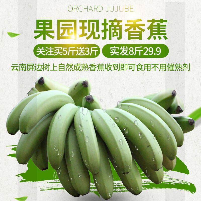 记我云南高山自然成熟香蕉新鲜水果banana孕妇芝麻焦小米蕉