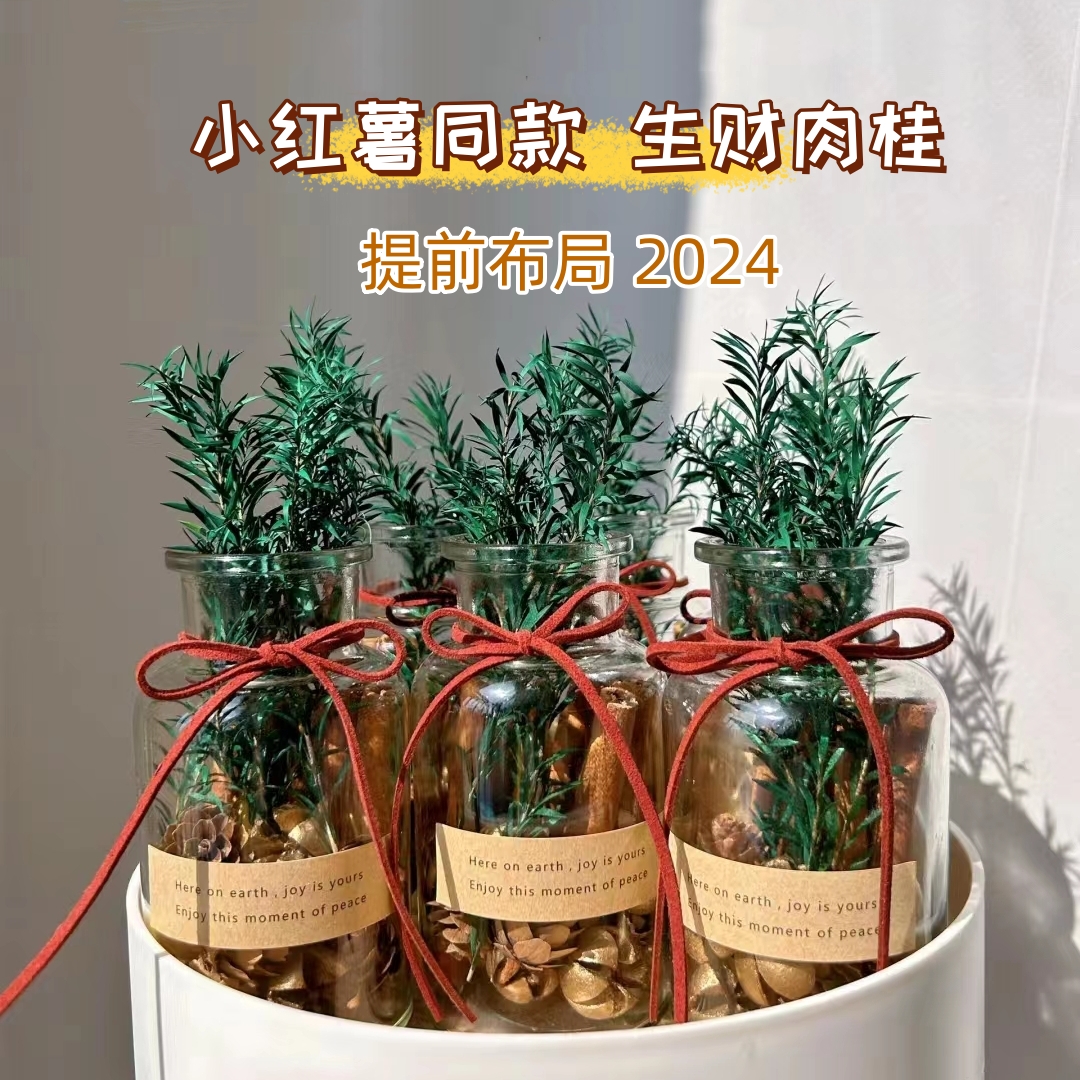 森系肉桂生财瓶窄口聚财门玻璃床头香薰ins摆件房间装饰新年礼物