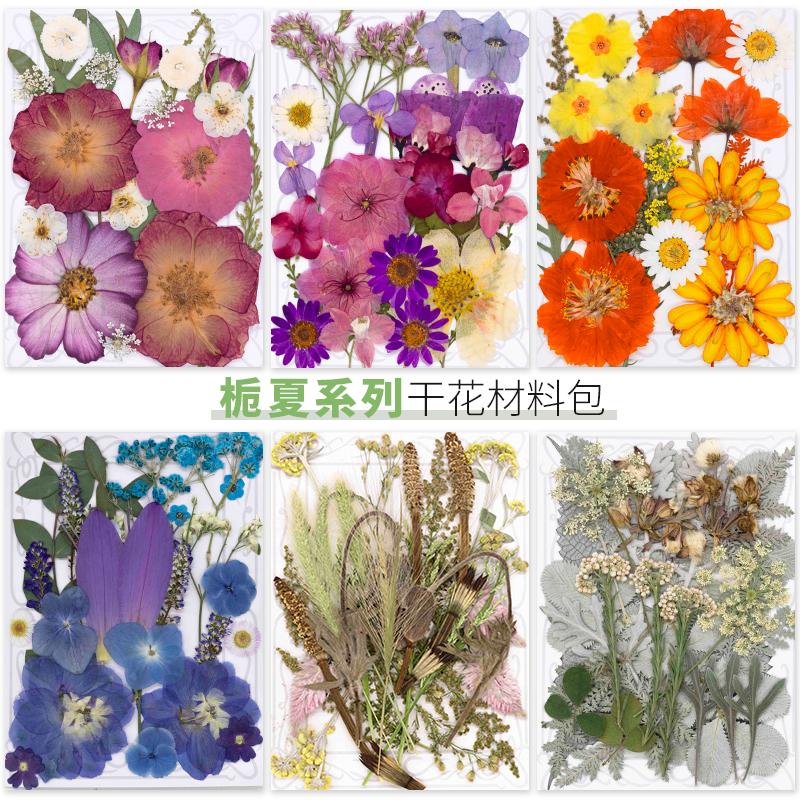 DIY手机壳花瓣妆滴胶干花包杯垫真树叶干花材料包贴画植物标本