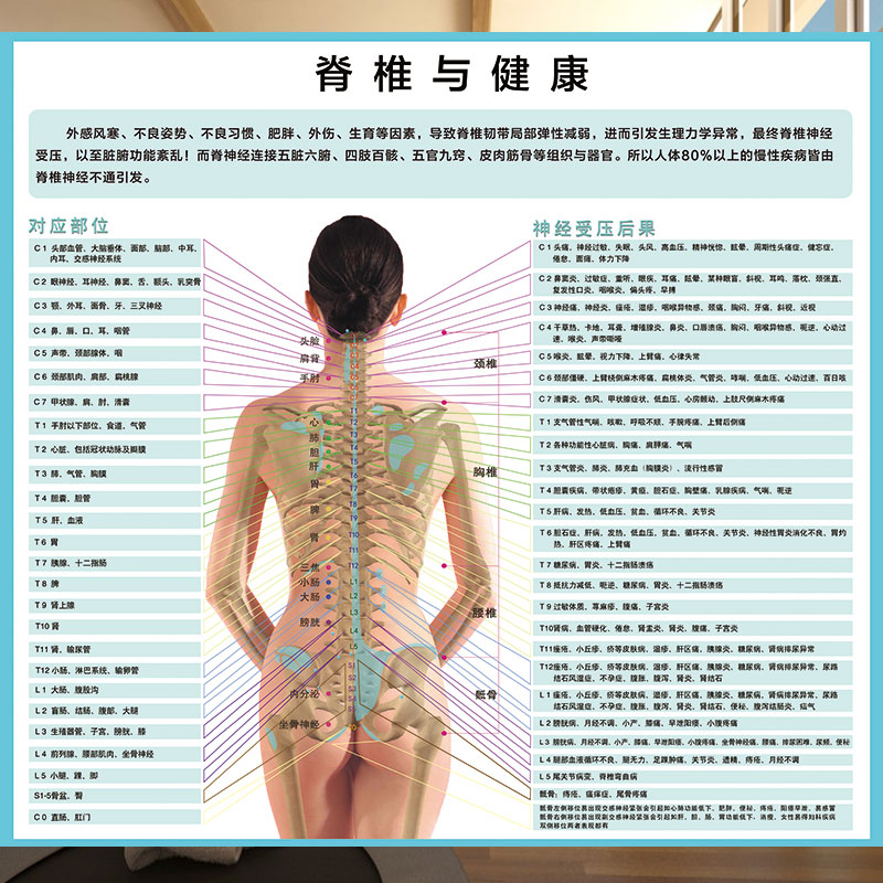 脊椎与健康高清壁画中医院诊所健身房瑜伽馆墙纸神经受压后果壁纸