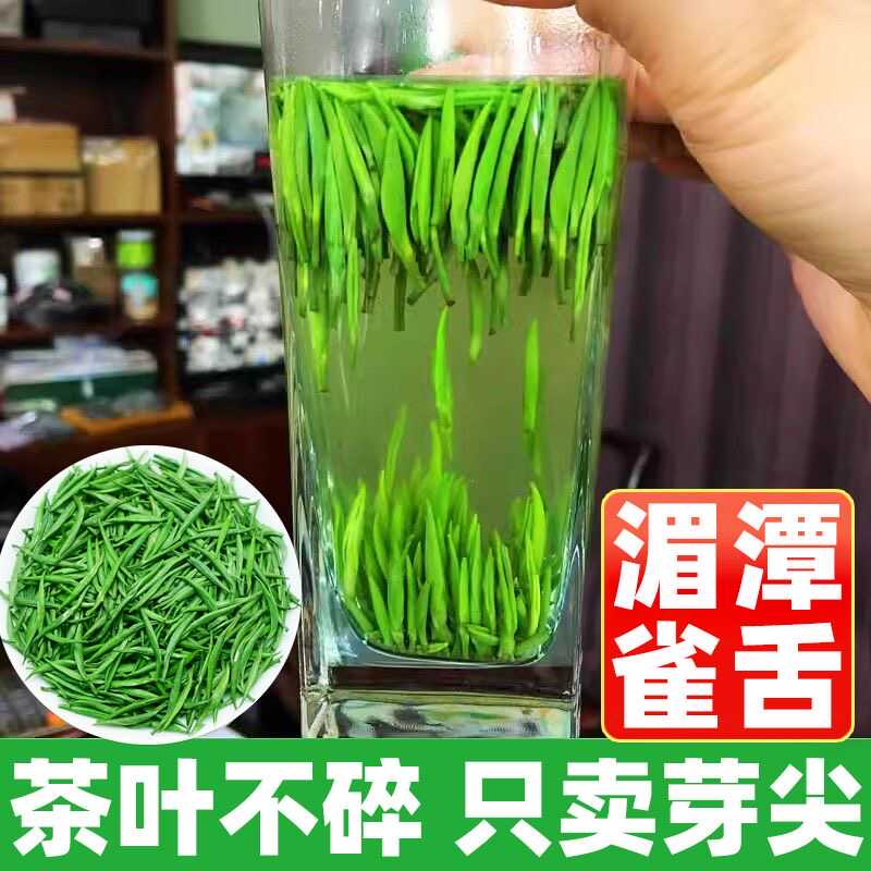 2024新茶特级雀舌茶叶绿茶嫩芽明前浓香型毛尖耐泡头采全芽500克