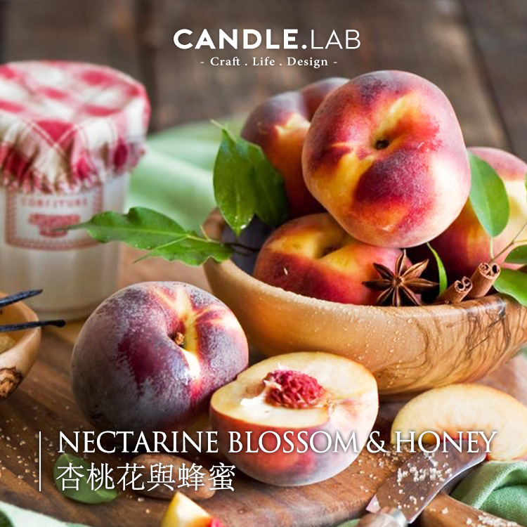 CANDLE.LAB | 杏桃花与蜂蜜香料DIY香薰石膏蜡烛扩香石香薰精油24