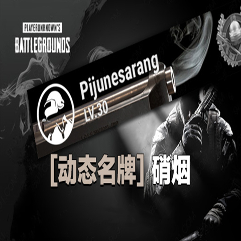 PUBG绝地求生吃鸡动态名牌硝烟ID卡皮肤CDK兑换码炫彩名片端游