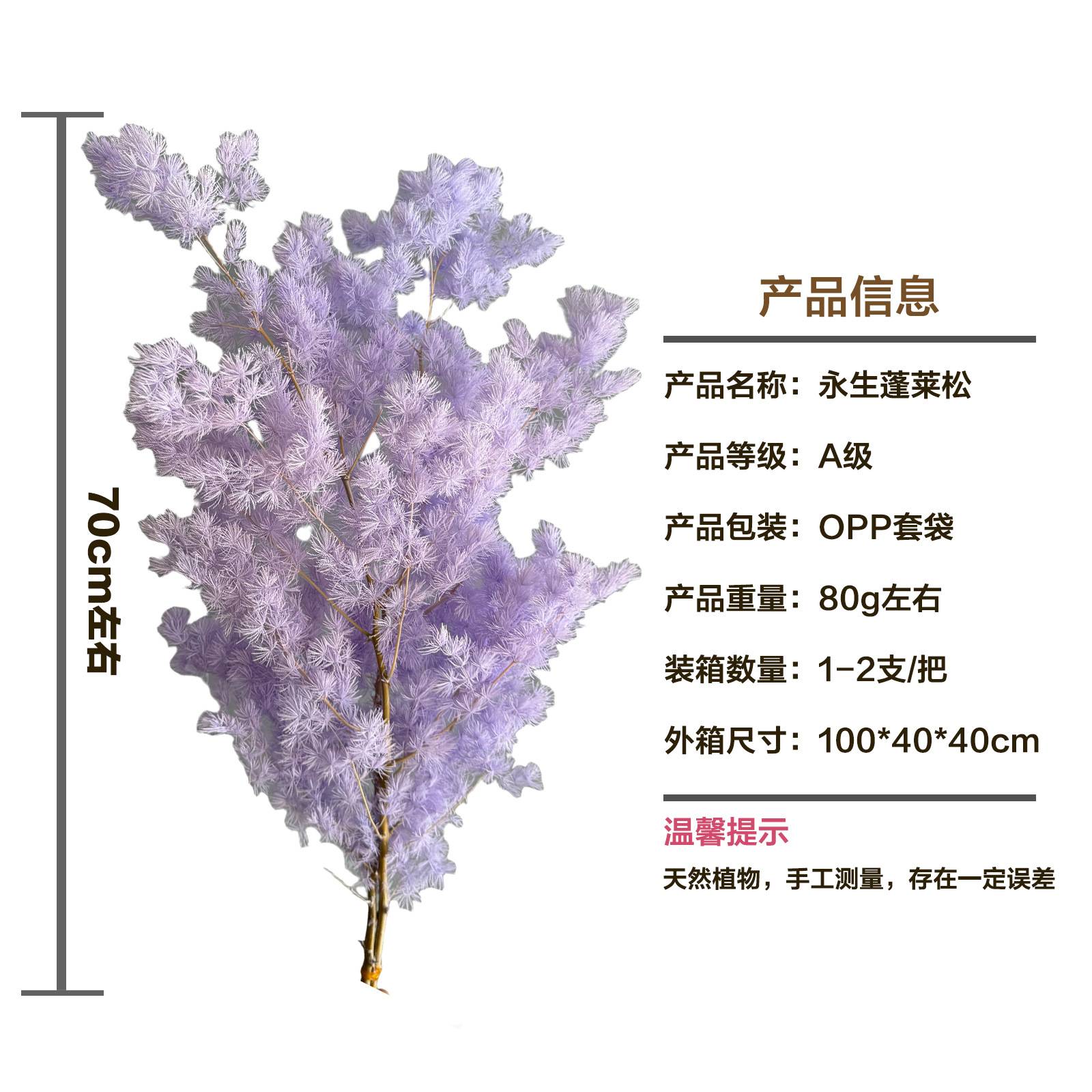 蓬莱松永生花干花花束婚礼家居装饰教师节礼物材料包