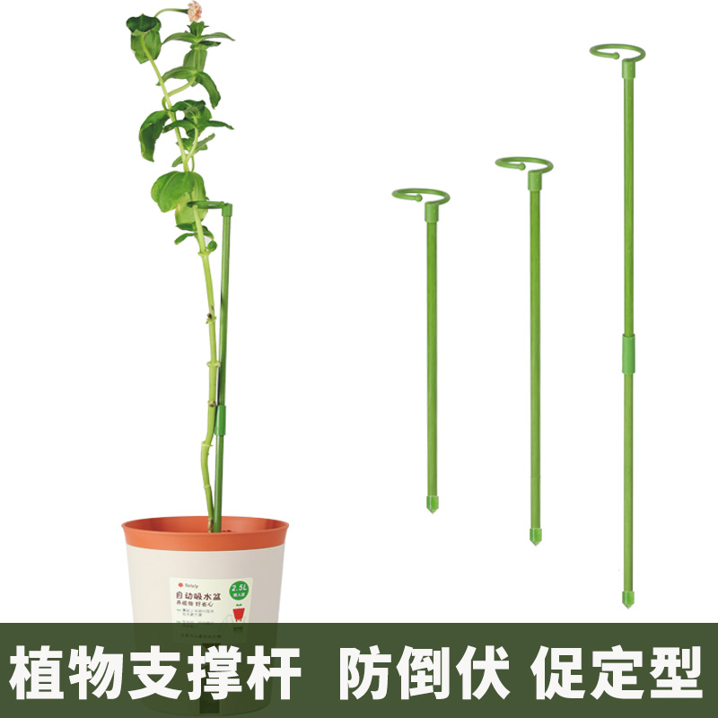 植物支撑杆朱顶红绣球蝴蝶兰固定架花卉爬藤花支架防倒伏倾斜花架