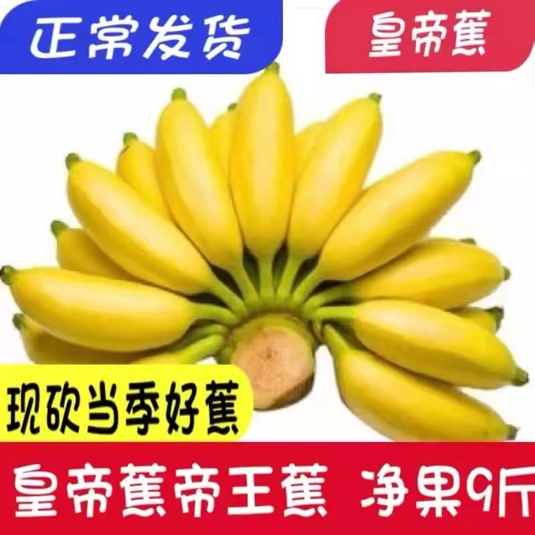 云南皇帝蕉香蕉banana帝王焦小米蕉新鲜水果批发自然熟整箱