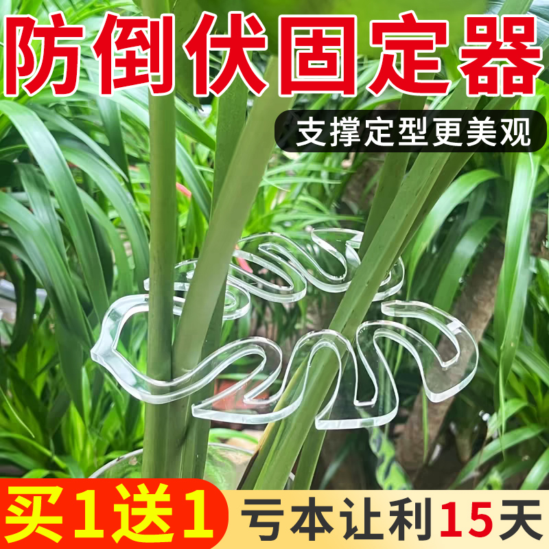 龟背竹支撑杆防倒伏花卉春羽春雨支架固定器绿植物水培枝干花盆架