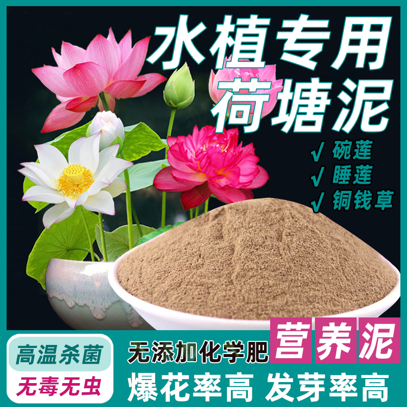 荷塘泥碗莲睡莲专用土河泥养鱼莲花水养淤泥荷花专用泥铜钱草专用