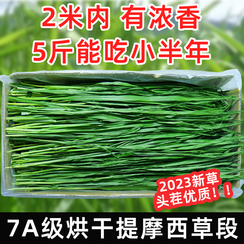 提摩西草新草烘干提草兔子粮食毛重1kg荷兰猪草料甘肃兔干草提草