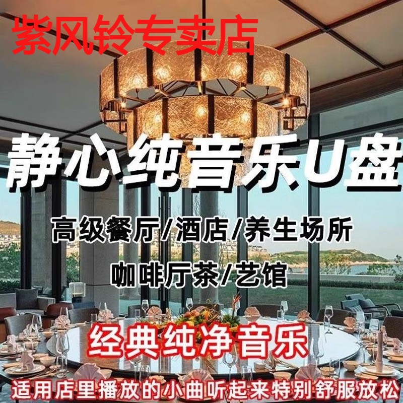 纯轻音乐u盘歌曲休闲纯古典高音质优盘茶室养生馆美容院店铺用USB