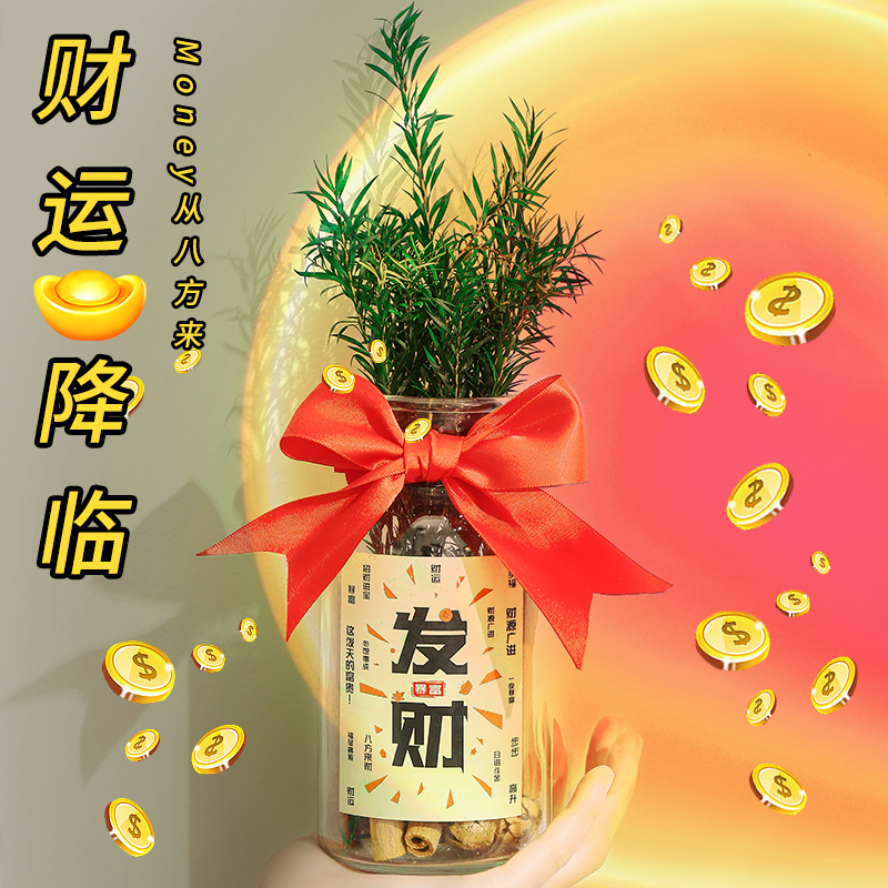 肉桂生财瓶2025新年装饰客厅玄关招财摆件玻璃瓶花瓶蛇年春节氛围