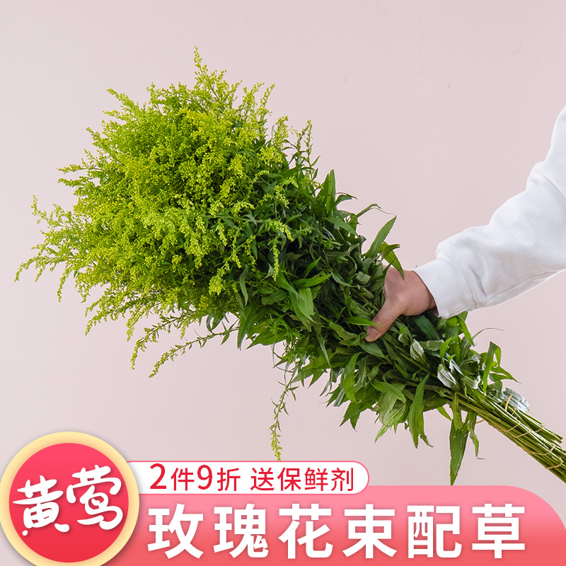 黄莺草花云南基地直发鲜切花水养插瓶红豆洋甘菊尤加利叶花束配草