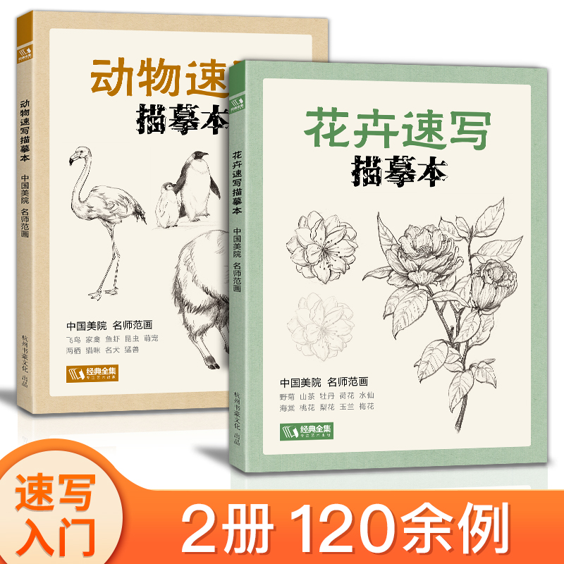 经典全集 花卉动物速写描摹本 零基础画画入门新手自学教程书籍线描花卉临摹手绘初学者学绘画教材铅笔画素描速写画稿美院名师范画