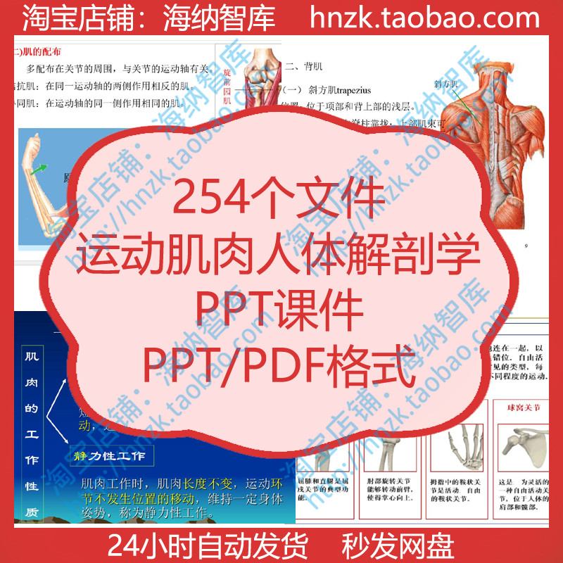 运动肌肉人体解剖学PPT课件教案关节生物力学脊柱体育上肢肌结构