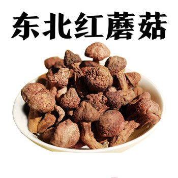 东北肉蘑土特产新货野生红蘑菇松树伞钉红松伞松蘑食用菌干货蘑菇