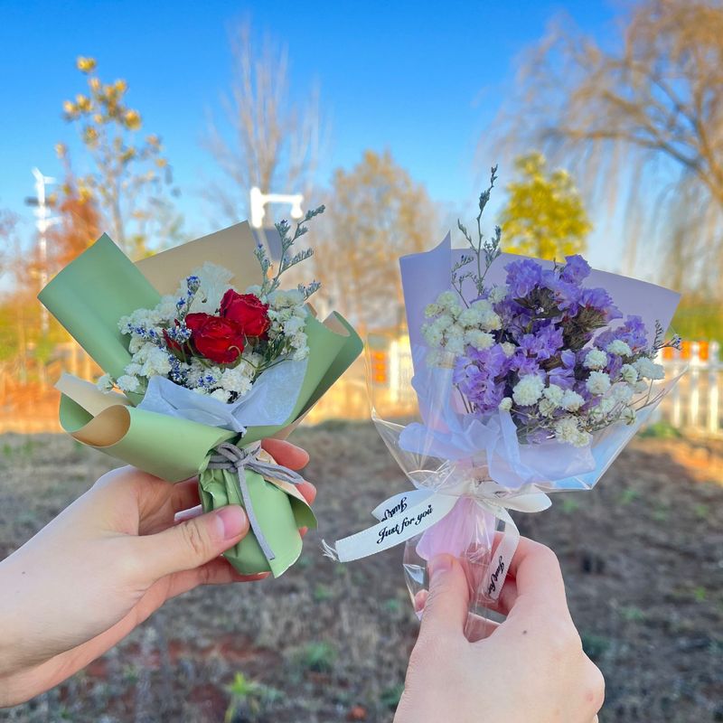 口袋花束高级感见面约会玫瑰花迷你仪式感仿真干花永生花伴手礼品